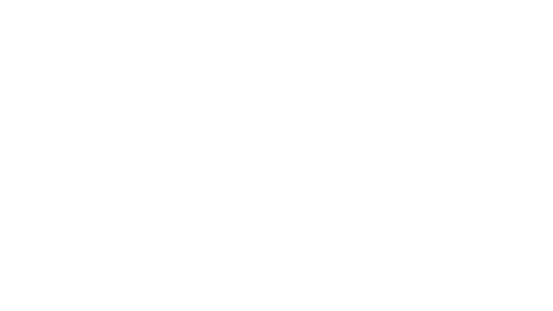 2600+ Experts